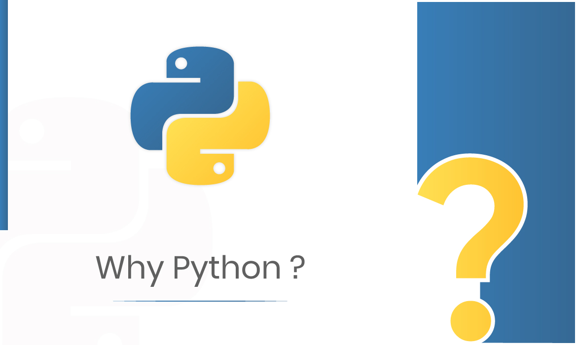 Python programming language for developers