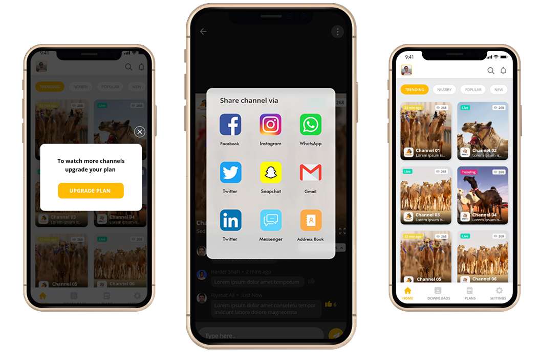 Build a Grocery Shopping App like Bring